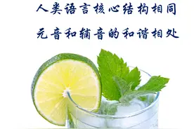 人类语言核心结构相同：元音和辅音的和谐相处图片