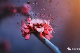 不孝儿媳将重病的婆婆拖出医院不给治疗，多年后报应来了何其惨烈图片