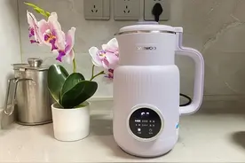 拥有一件就能成为别人向往的生活，这几款小家电，用后幸福感强图片