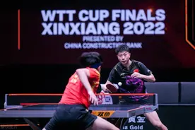 乒乓球不同套胶的性能及其优缺点图片