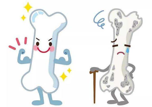 海洋生物蛋白质的作用 2026年海洋生物蛋白质的作用有哪些 海洋生物蛋白质的作用 2026年海洋生物蛋白质的作用有哪些