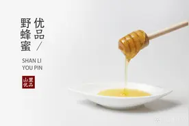 山里优走进深山探寻野生蜜图片