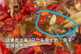 羊肉馆吃到“羊鼻虫”！什么是羊鼻虫#图片