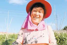 乌鲁木齐：水果西红柿邀你尝鲜图片