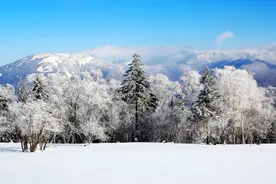 研学吉林 感知精彩 | 爆款冰雪研学线路来袭，出发！图片