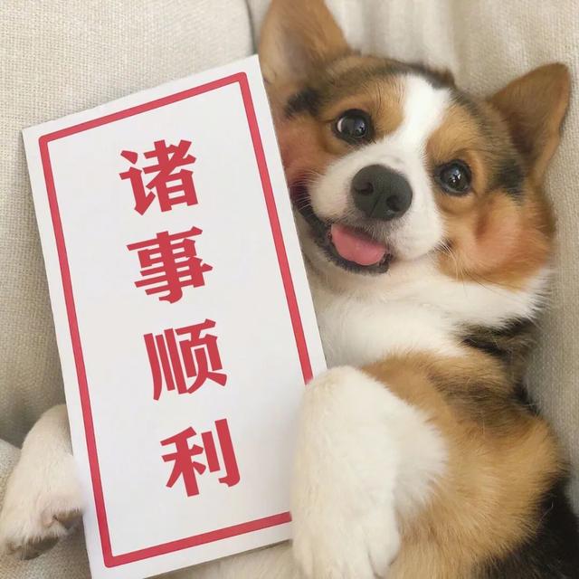 ������Ȧ�Ź����ز� | ����Ȧ����ͼ