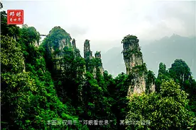 湖北有一个天然的避暑胜地，拥有号称小张家界的景区与品牌绿茶图片