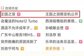 看完《塞尔达传说：王国之泪》实机演示，我开始怀疑人生了图片