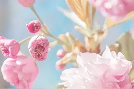 异性之间的越界，多半是从“共享”这几样东西开始的，别大意图片