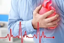 心率慢，活得久吗？到底是科学还是谣言？最新研究结果已公布图片