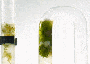 家里马桶下水慢怎么办