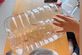小伙花20块钱制作简易猫窝，看到成品后，网友：比买的更加实在图片