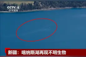 新疆喀纳斯湖再现不明生物！在水面翻出大片波浪，有可能是什么？图片