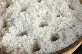 盘点那些可以做出“柴火饭”的电饭煲，柴火饭电饭煲推荐图片