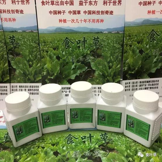 食叶草氨基酸多肽精蛋白与大健康产业