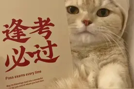 大学生考公一定要知道的‼️图片