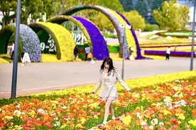 惊艳！无法抗拒的世博园春日浪漫，请你查收图片