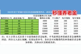 2023年度宁夏城乡居民养老保险缴费档次，补贴标准，待遇领取图片