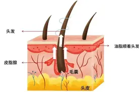 拯救一个「油头」需要分几步？手法、频率都说清了图片