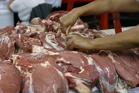 回族人为什么不吃猪肉图片