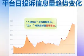 “双11”消费维权数据报告：价格欺诈仍“闹心”“闪电”发货退款难图片
