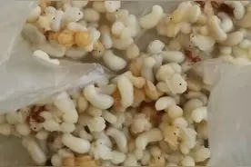 泰国的红蚂蚁蛋图片