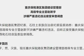 重庆保税港区集团建设管理部高级专业主管赵新宇接受审查调查图片