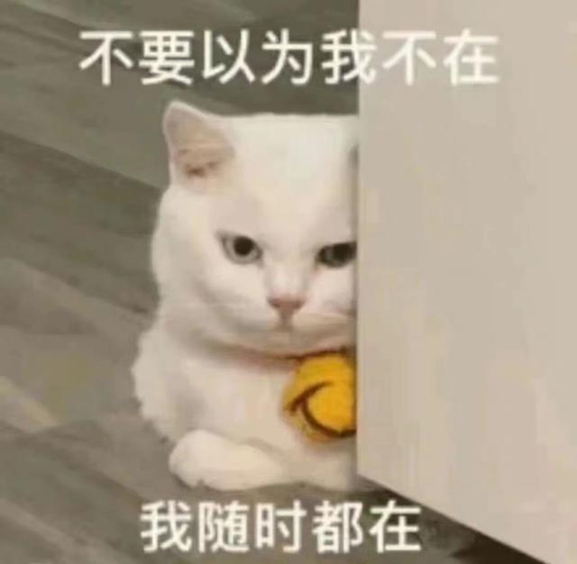 ЩʿҪ滵˹