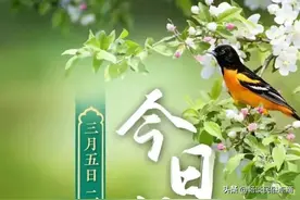 天气预报：今天是惊蛰节气，这天刮大风，啥预兆？看看谚语怎么说图片