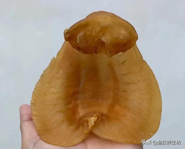 四大赤嘴鱼胶排名 赤嘴鱼胶产地哪里?最好