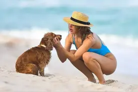 英超宝贝小野猫金伯利加纳图片