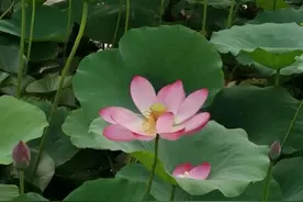 “盖房不留后窗”，啥意思？原来大有讲究图片