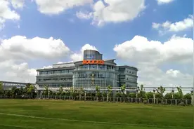 稳坐世界十强，正新橡胶全球遍地花开图片