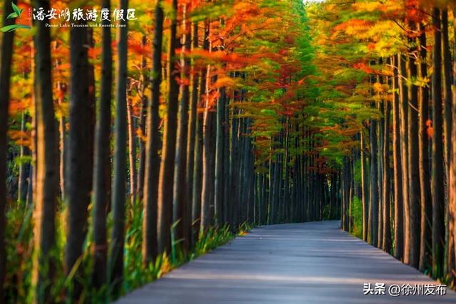 金秋微度假，就来贾汪，66个必玩之地安排！