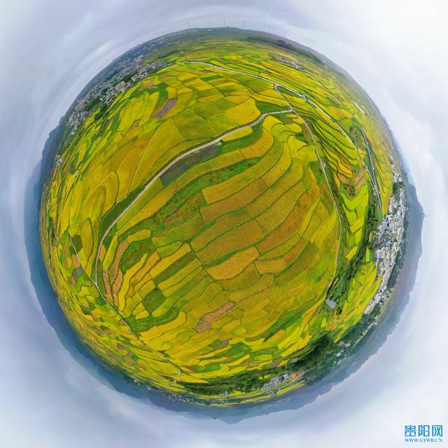 【图集】高坡乡秋日“丰”景美如画