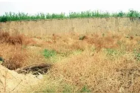 土地到期该不该调整？原承包户土地能不能动？无地人口土地怎么办图片