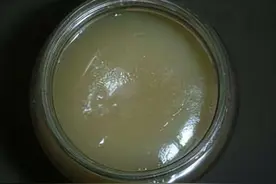 治冻疮、烫伤的“獾油”是什么动物的油？为何现在“很少见”了？图片