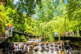 石家庄有一处漫山花溪谷，风光秀美，景色宜人，是自驾游的好去处图片