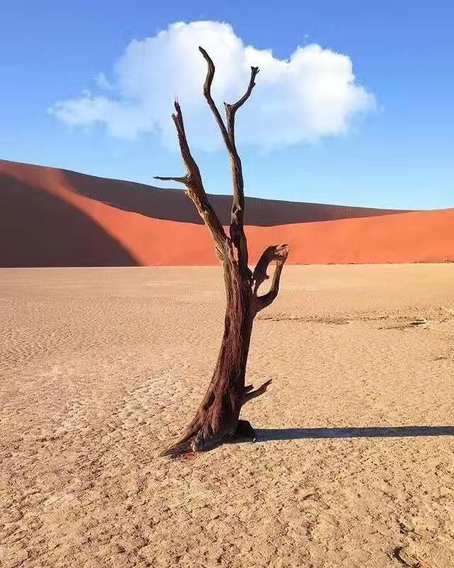 励志人生哲理