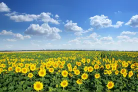 时评：“开门搞教育”让群众见到行动、感到变化图片