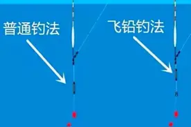 邓刚大师盘哭老板的飞铅钓法，为何我都是空手而归？原理是这样的图片