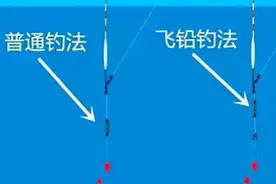 邓刚大师盘哭老板的飞铅钓法，为何我都是空手而归？原理是这样的图片