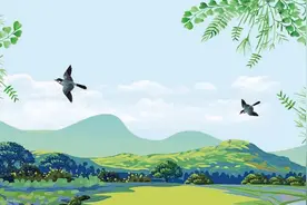 王义涛—劳动能力鉴定和伤残鉴定有什么区别？图片