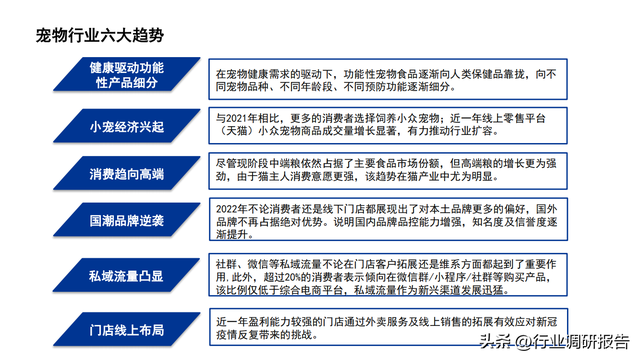 2022���й�������ҵ��չ���棨�����ߡ������ŵꡢ�г�����