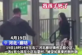 小孩被宠物狗扑倒父亲一怒之下摔死小狗，狗主人大喊：我孩子死了图片