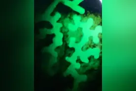 寻石问翠 带你一分钟对莫湾基有不一样的看法《第二章》图片