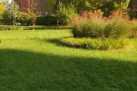 小孩子真的能看见“不干净”的东西吗图片