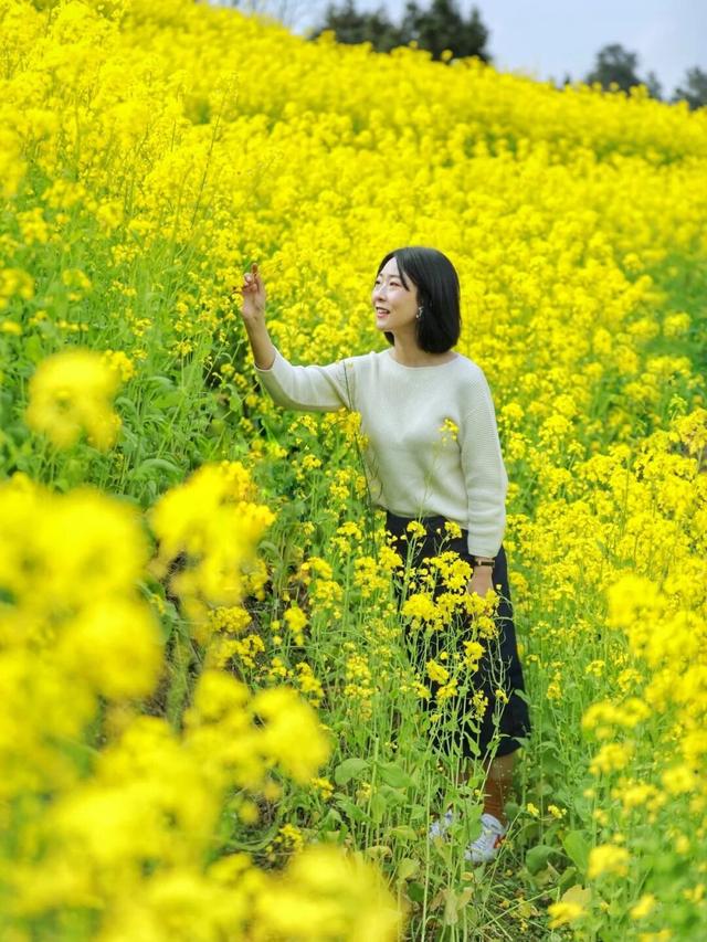 成都周边“小西安”？万亩菜花梯田、“鼓楼”、美食，快带全家去