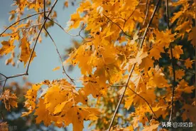 当你老眼昏花时，你能做些什么？六个选择，为你答疑解惑图片