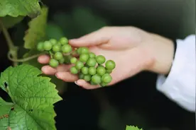 发现有人不喜欢你，无需翻脸，默念这四句话，你就赢了图片